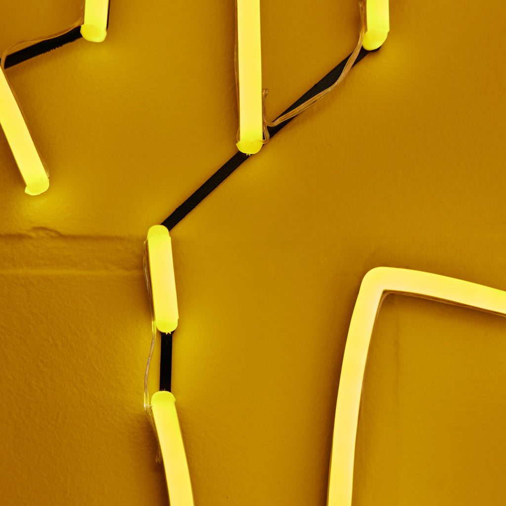 Karpe Djem por Kelly Hortense